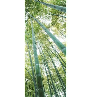Foto tapeta samoljepljiva: Šuma bambusa - 211x91 cm