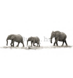 Slika na platnu - Mario Moreno, The Elephants