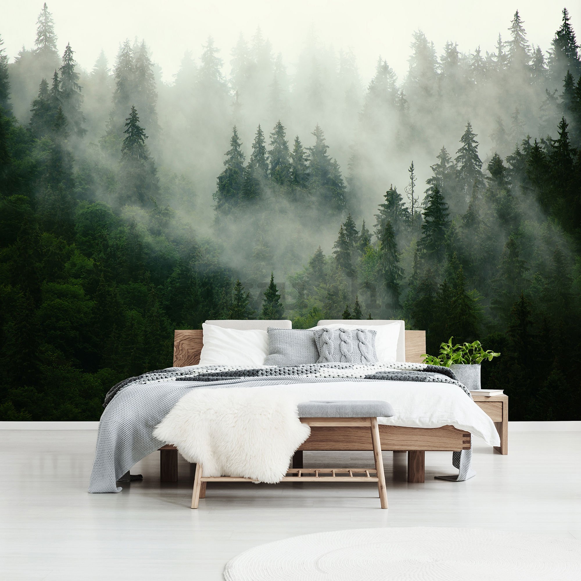 Vlies foto tapeta: Magla iznad šume (1) - 254x368 cm