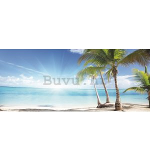 Foto tapeta: Palme na plaži - 104x250 cm