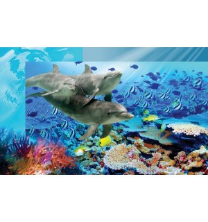 Foto tapeta: Podmorski svijet - 104x152,5 cm