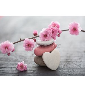 Foto tapeta: Trešnja u cvatu i srce - 104x152,5 cm