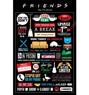 Poster - Prijatelji (Infografika)