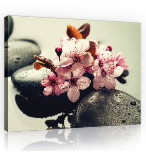 Slika na platnu: Zen i cvijeće - 75x100 cm