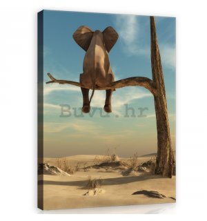 Slika na platnu: Slon na drvetu - 100x75 cm