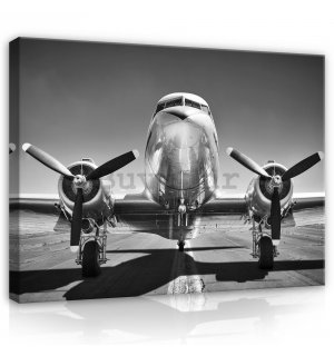 Slika na platnu: Crno-bijeli zrakoplovi (1) - 75x100 cm