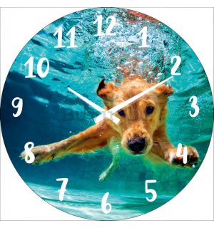 Zidni stakleni sat: Pas pod vodom - 34 cm
