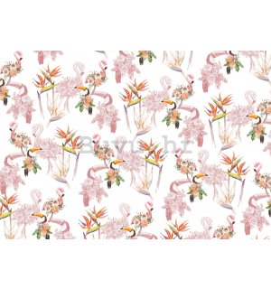 Vlies foto tapeta: Flamingosi i tukani - 368x254 cm