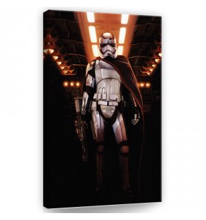 Slika na platnu: Star Wars Captain Phasma (1) - 40x60 cm