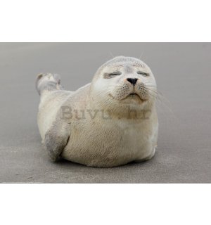 Poster: Mladunče sivog tuljana