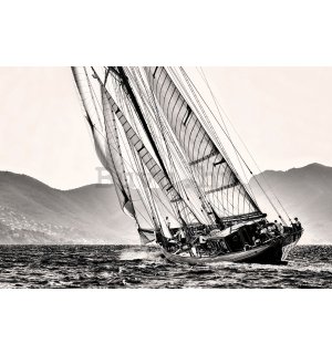 Poster: Yachting (crno-bijela jedrilica)