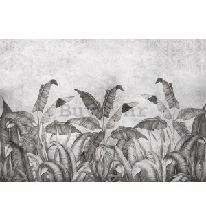 Vlies foto tapeta: Crno bijela imitacija prirodnog lišća (2) - 368x254 cm