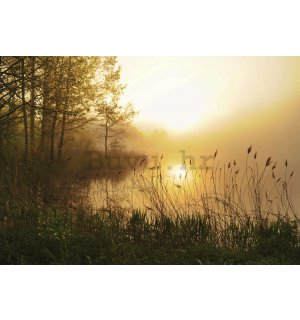 Vlies foto tapeta: Jezero u magli - 368x254 cm