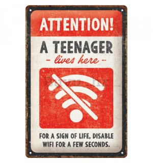 Metalna tabla: Teenager Wifi - 30x20 cm