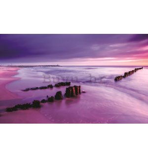 Foto tapeta: Ljubičasti zalazak sunca na plaži - 254x368 cm