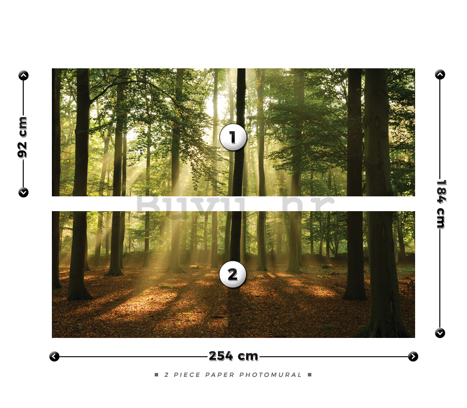 Foto tapeta: Sunce u šumi (4) - 184x254 cm