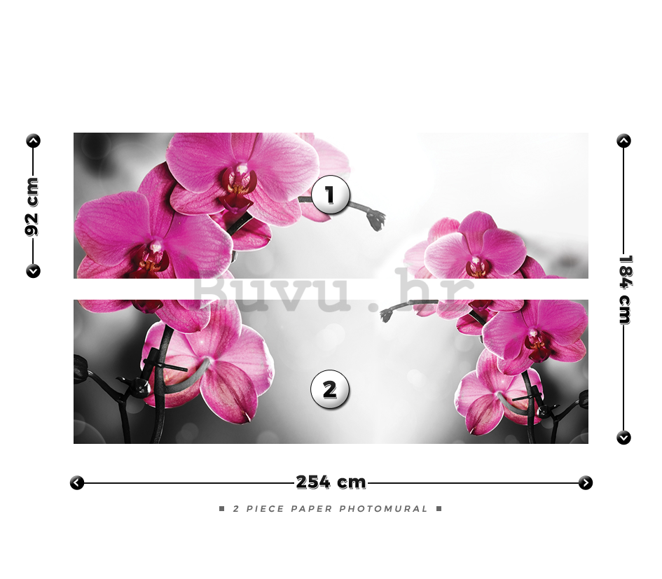 Foto tapeta: Orhideja na sivoj pozadini - 184x254 cm