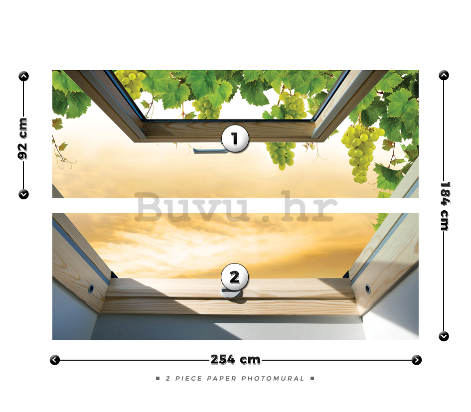 Foto tapeta: Prozor s grožđem - 184x254 cm