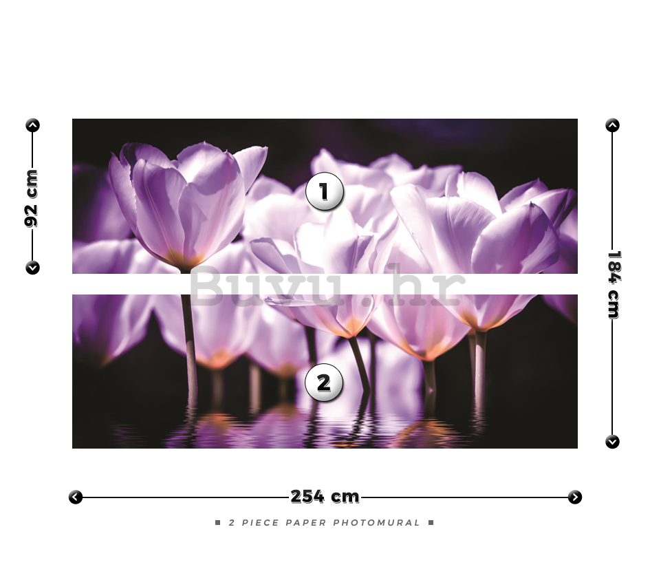 Foto tapeta: Ljubičasti tulipani (2) - 184x254 cm