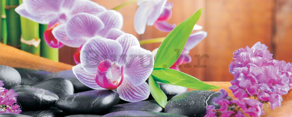 Foto tapeta: Orhideje (1) - 104x250 cm