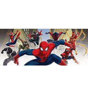 Foto tapeta: Spiderman (1) - 104x250 cm