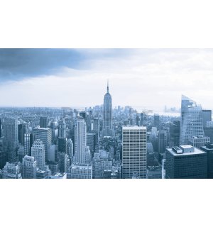 Foto tapeta: Vidik na Manhattan - 184x254 cm