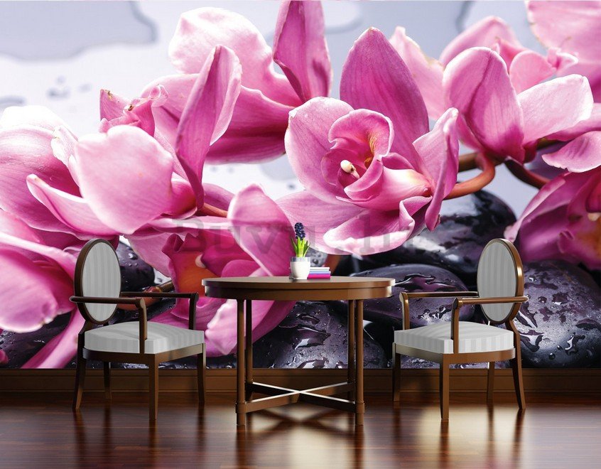 Foto tapeta: Spa kamenje i ružičaste orhideje - 184x254 cm