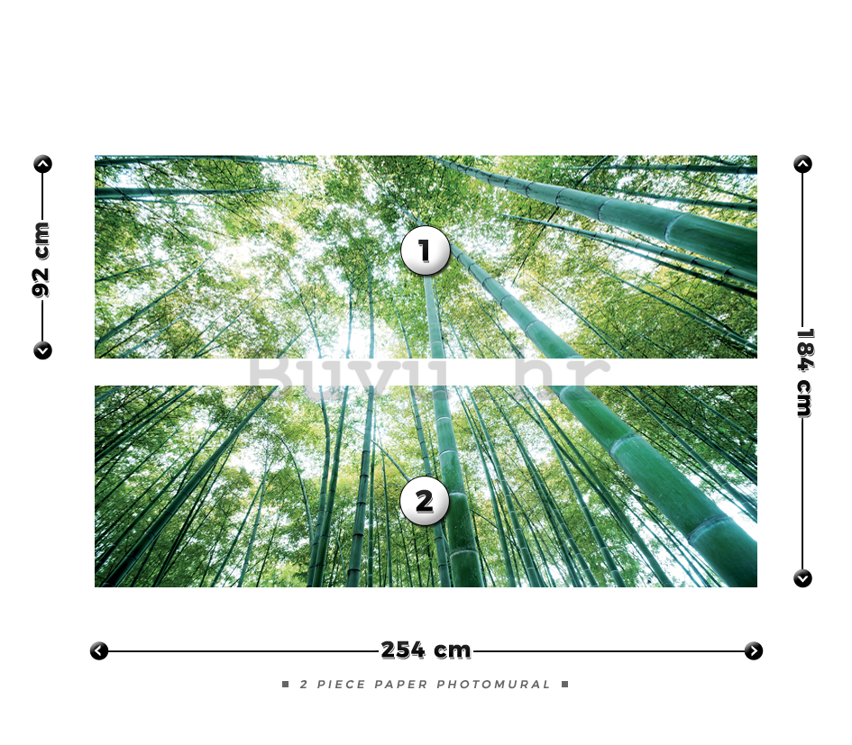 Foto tapeta: Šuma bambusa - 184x254 cm