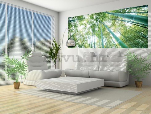 Foto tapeta: Šuma bambusa - 104x250 cm