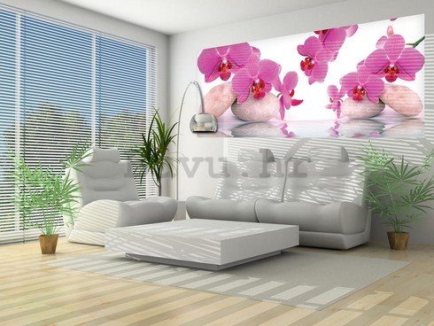 Foto tapeta: Orhideja i kamenje - 104x250 cm