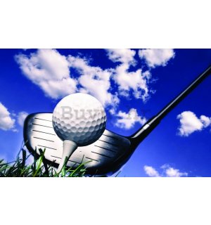 Foto tapeta: Golf (2) - 254x368 cm