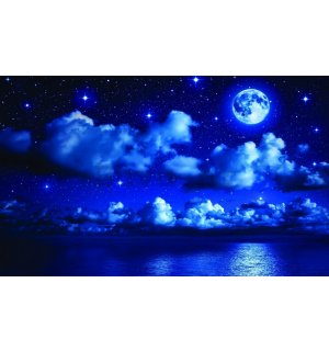 Foto tapeta: Mjesečna noć - 254x368 cm
