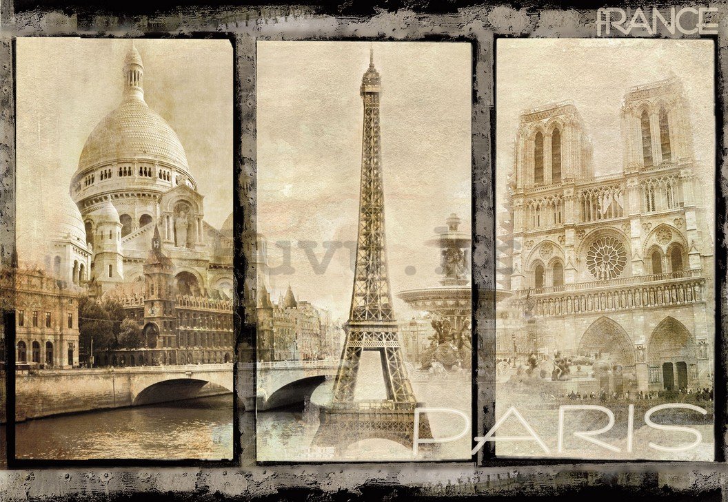 Foto tapeta: Pariz (dominantan) - 184x254 cm