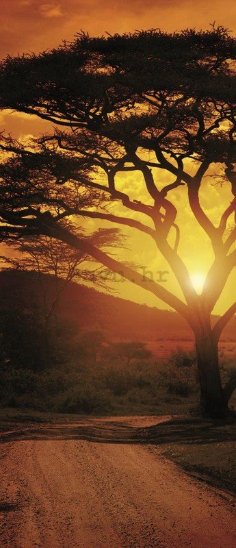 Foto tapeta: Afrički zalazak sunca - 211x91 cm