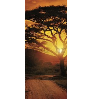 Foto tapeta: Afrički zalazak sunca - 211x91 cm