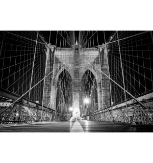 Foto tapeta: Brooklyn Bridge (crno-bijeli detalj) - 254x368 cm