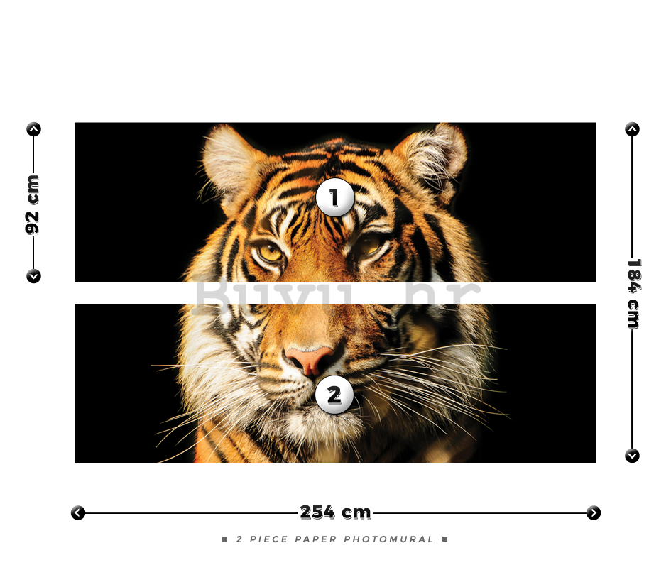Foto tapeta: Tigar - 184x254 cm