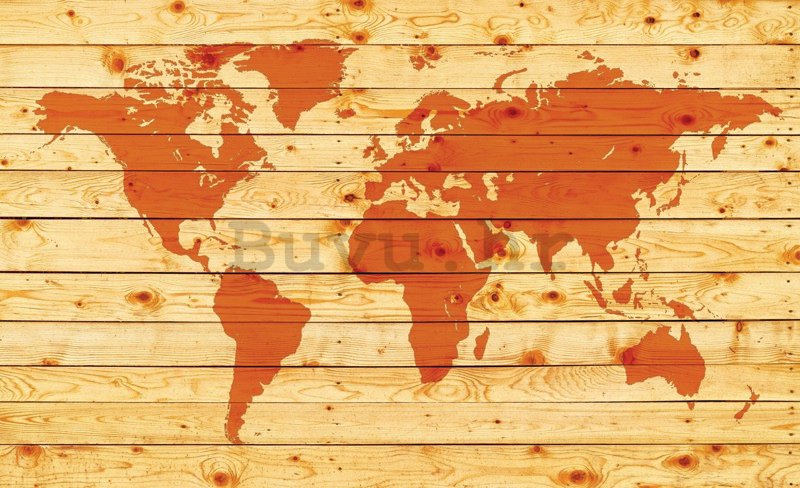 Foto tapeta: Drvena karta svijeta - 254x368 cm
