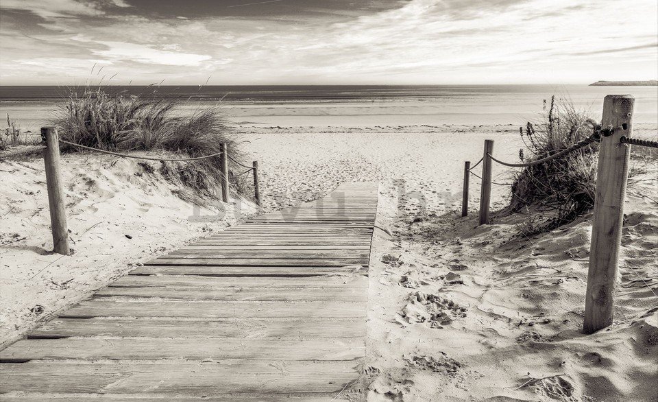Foto tapeta: Plaža (crno-bijela) - 254x368 cm