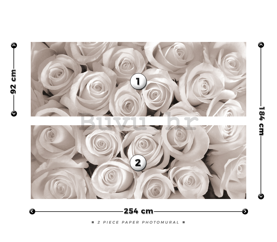 Foto tapeta: Bijela ruža - 184x254 cm