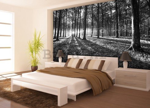 Foto tapeta: Crno-bijela šuma (1) - 254x368 cm