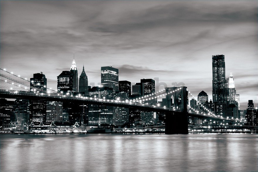 Foto tapeta: Brooklyn Bridge (crno-bijeli) - 254x368 cm