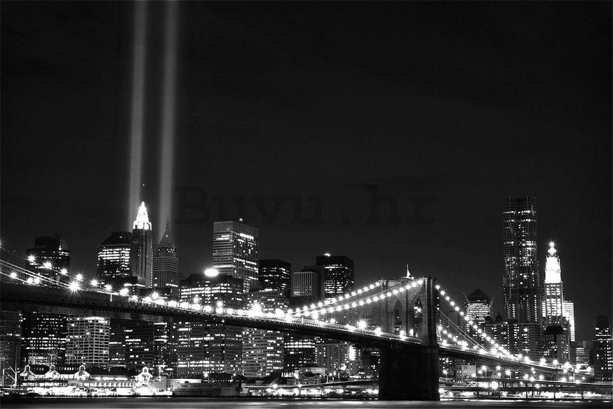 Foto tapeta: Crno-bijeli Brooklyn Bridge (2) - 254x368 cm