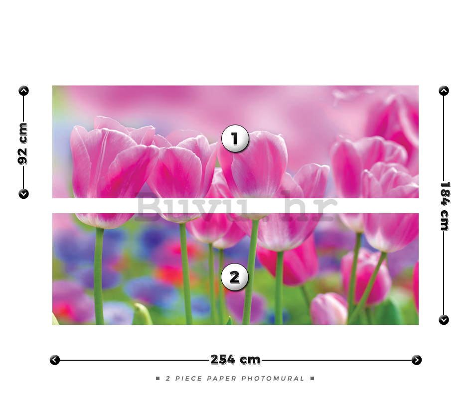 Foto tapeta: Ljubičasti tulipani - 184x254 cm