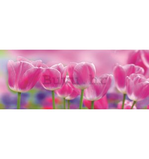 Foto tapeta: Ljubičasti tulipani - 104x250 cm