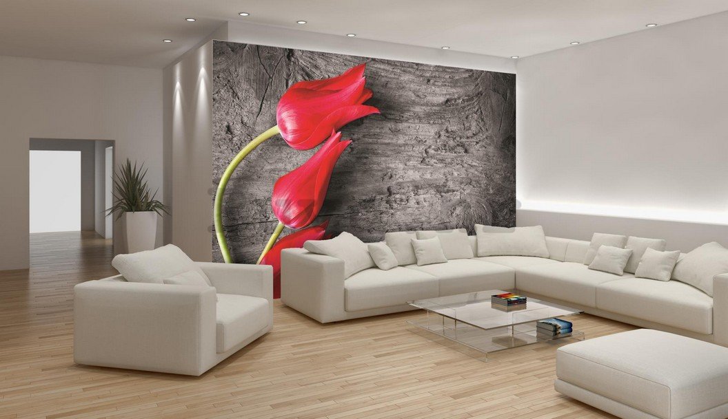Foto tapeta: Crveni tulipani - 184x254 cm