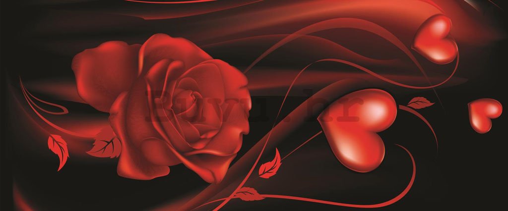 Foto tapeta: Srce s ružom - 104x250 cm