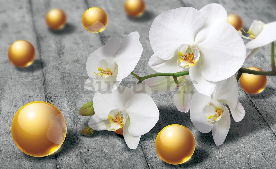 Foto tapeta: Orhideja i žute kuglice - 184x254 cm