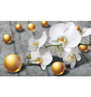 Foto tapeta: Orhideja i žute kuglice - 184x254 cm