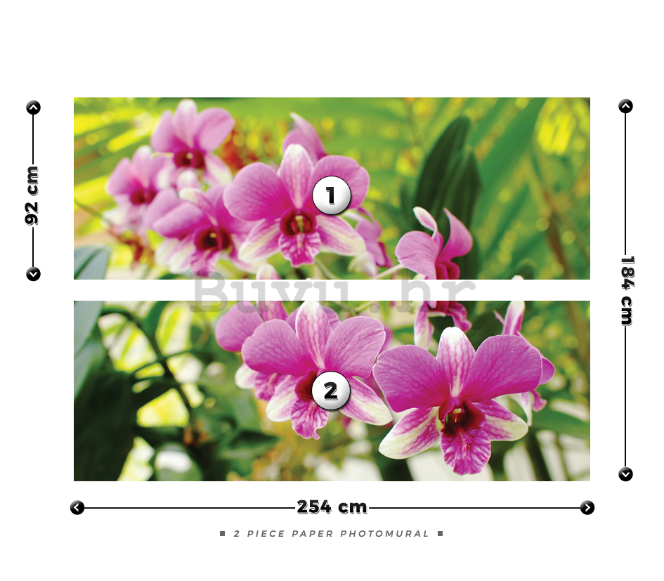 Foto tapeta: Orhideja (3) - 184x254 cm